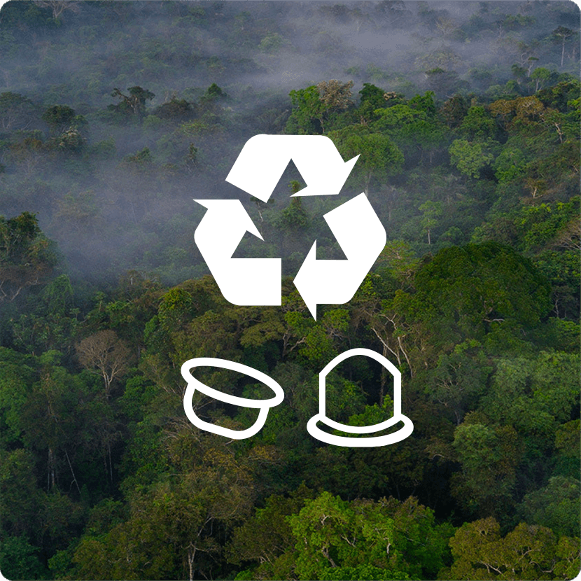 Пакетиране