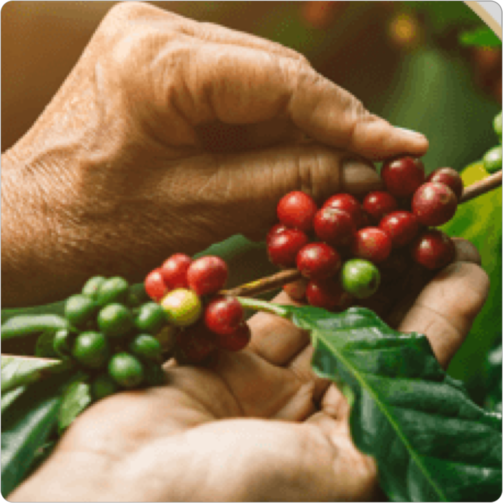 Доставка на кафе